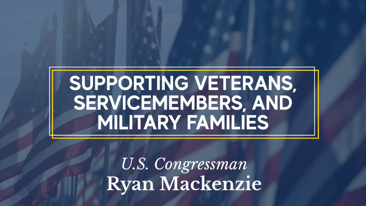 supportingvets