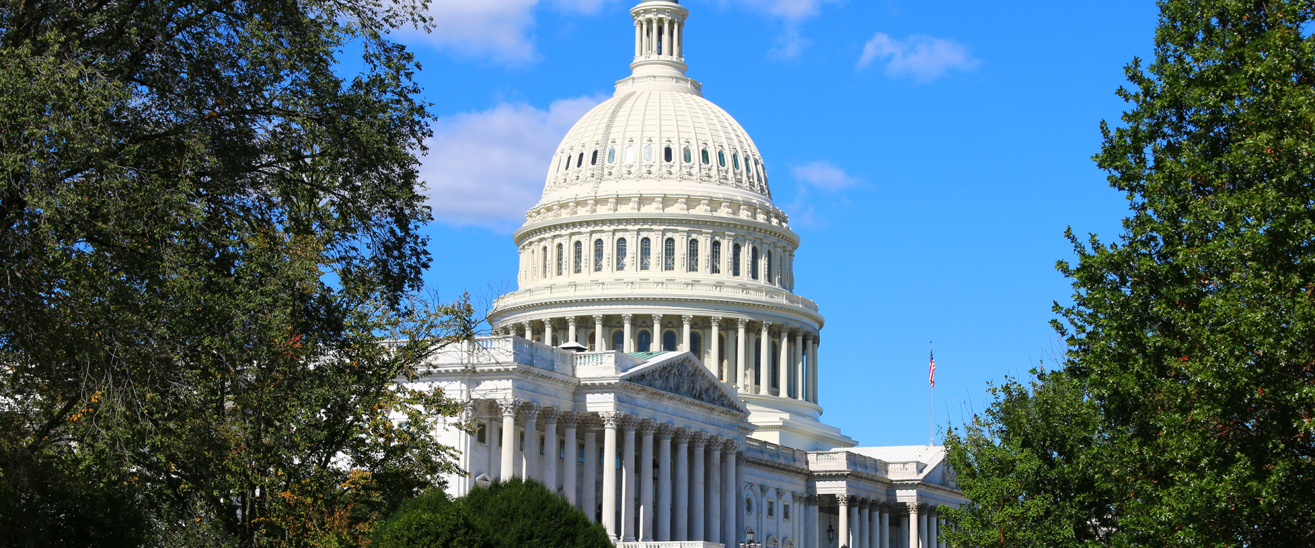 Tree-lined side of the Capitol building